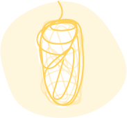 Cocoon