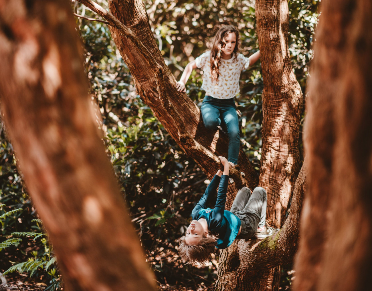 Navigating Your Children's Unequal Abilities